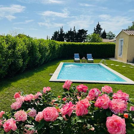 Un Coin Tropical En Provence ! Hotel L'Isle-sur-la-Sorgue Luaran gambar
